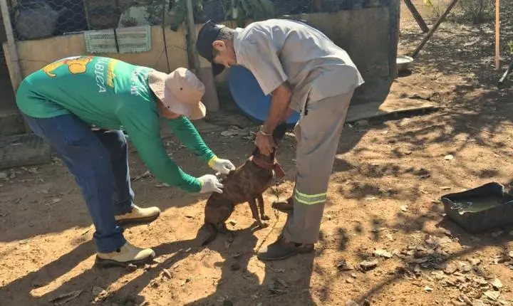 Vacinação Antirrábica avança para a zona rural de Rosário Oeste
