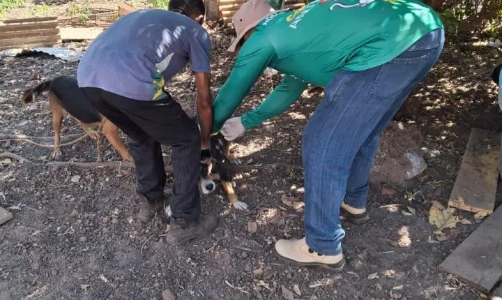 Vacinação Antirrábica avança para a zona rural de Rosário Oeste