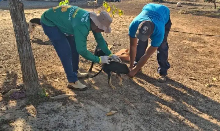 Vacinação Antirrábica avança para a zona rural de Rosário Oeste