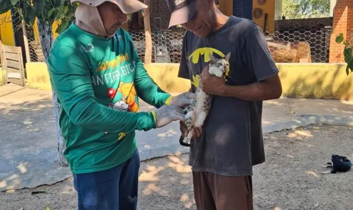 Vacinação Antirrábica avança para a zona rural de Rosário Oeste