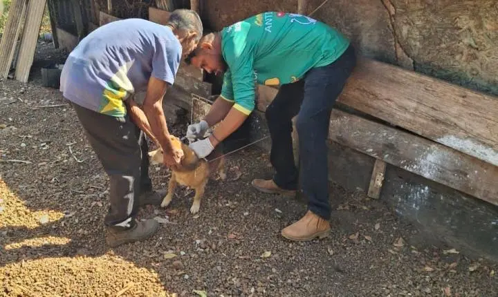Vacinação Antirrábica avança para a zona rural de Rosário Oeste