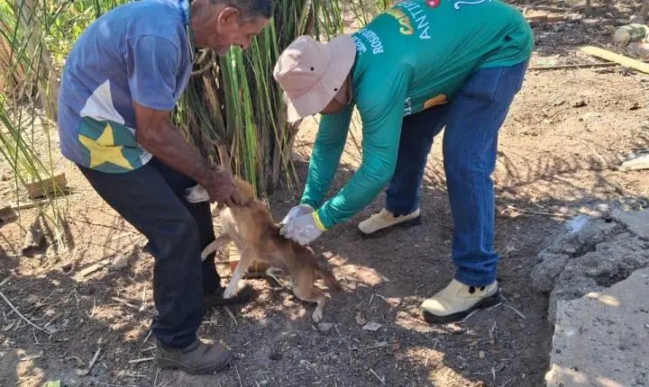 Vacinação Antirrábica avança para a zona rural de Rosário Oeste