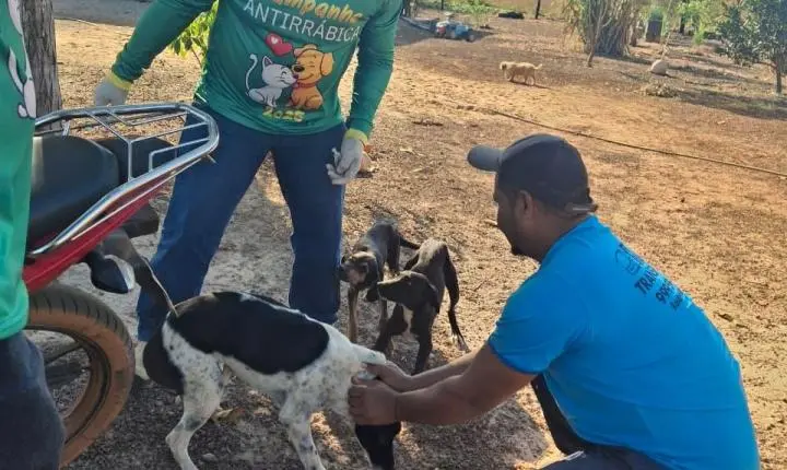 Vacinação Antirrábica avança para a zona rural de Rosário Oeste