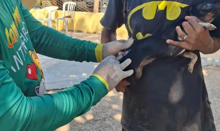 Vacinação Antirrábica avança para a zona rural de Rosário Oeste