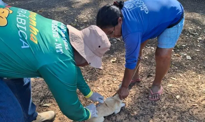 Vacinação Antirrábica avança para a zona rural de Rosário Oeste