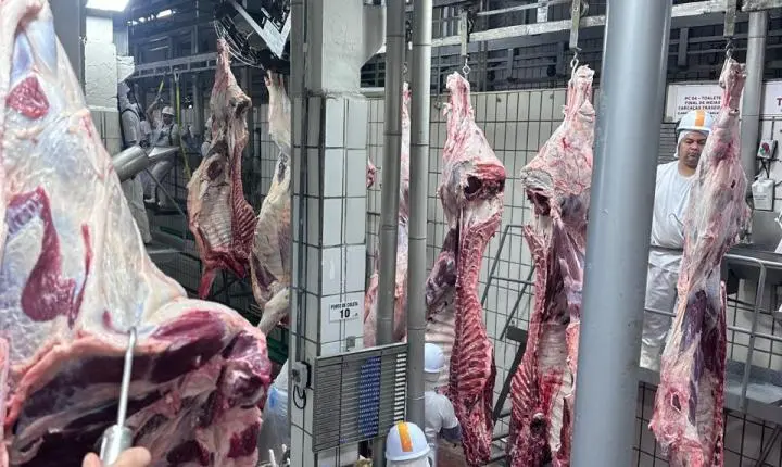 Veterinária da Prefeitura de Rosário Oeste participa de Capacitação e aperfeiçoamento da Inspeção Municipal
