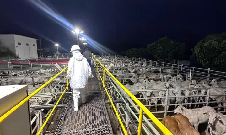 Veterinária da Prefeitura de Rosário Oeste participa de Capacitação e aperfeiçoamento da Inspeção Municipal
